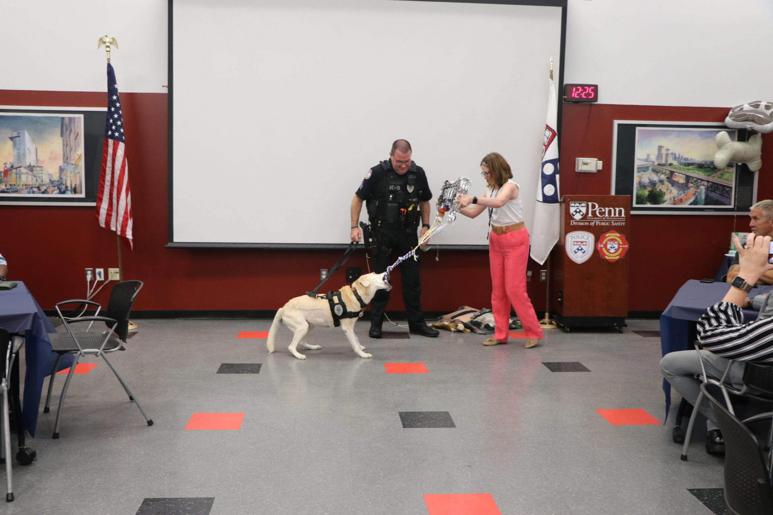 Photo of K9 Zzisa pulling on a rope toy tied to the bottom of a pinata in a seminar room. 