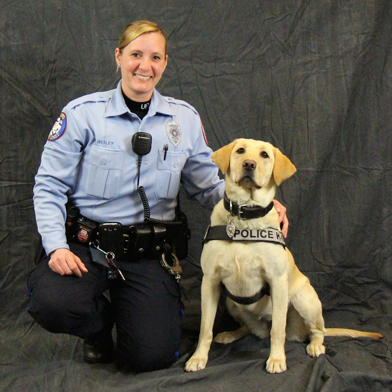 Socks, a yellow labrador retriever, wearing a K9 vest, poses next to her handler, officer Jullie Wesley, who is kneeling with her hand on Sock's back